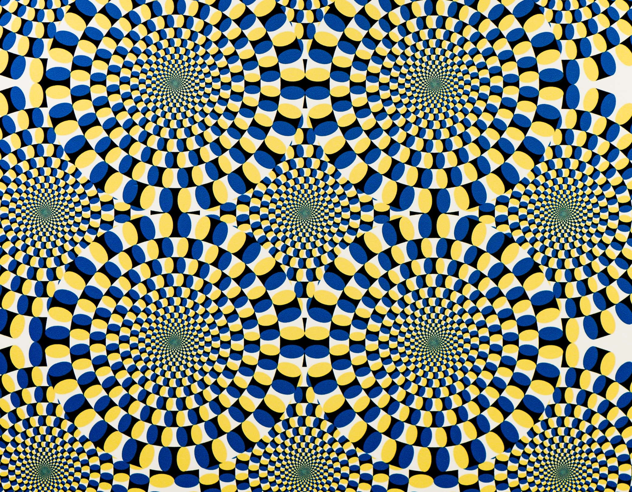 Mehrere sich drehend wirkende Spiralmuster in Blau, Gelb, Schwarz und Weiß erzeugen eine optische Illusion von Bewegung, obwohl das Bild statisch ist.